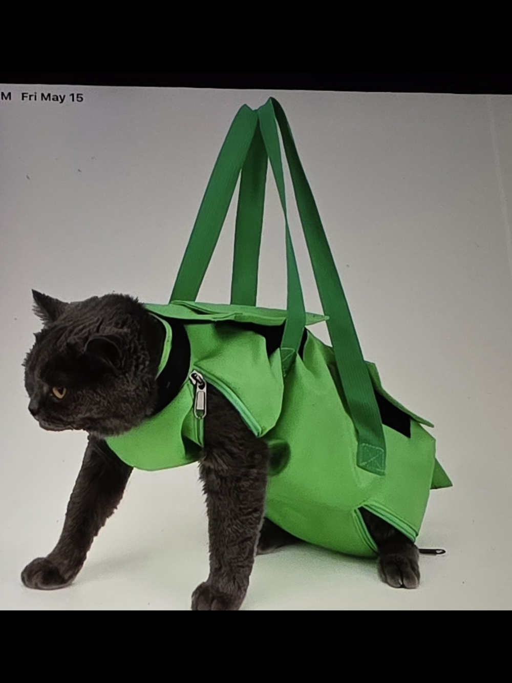 Pet Cat Or Small Dog Carrying Harness Tote - Bright Blue